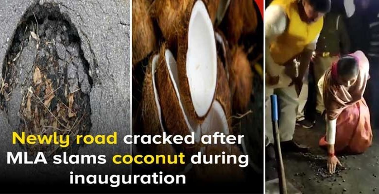 Newly Constructed road cracks up after BJP MLA smashes coconut during inauguration in UP's Bijnor
