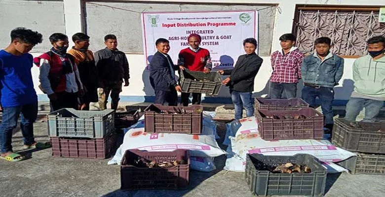 Arunachal: ICAR-KVK Anjaw Distributed ion improved Poultry bird