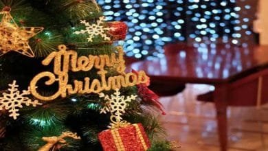 Arunachal Guv, CM convey Christmas and Good Governance Day greetings