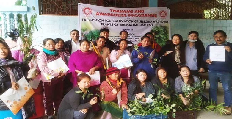 Arunachal: Field training on Wild Edible Plants held at Dobum village