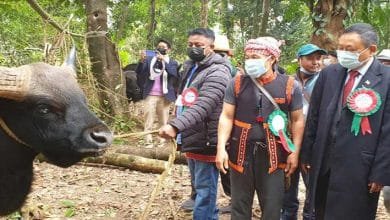 Arunachal: Mithun Mela held at Mirem village in East Siang