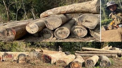 Arunachal: 470 illegal logs seized, 2 WBIs closed down