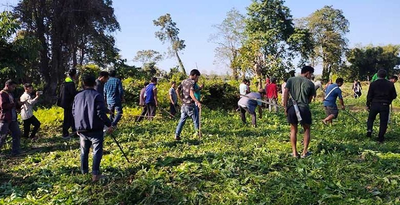Arunachal: ADAC launches poppy plantations destruction drive in Namsai