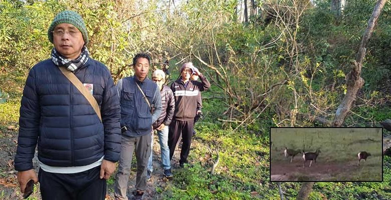 Arunachal: Conservation of wildlife in DEWS satisfactory- ADC Ruksin