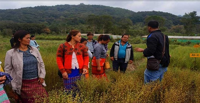 Arunachal: ICAR Basar organises field day on pulse and oilseed for farmers