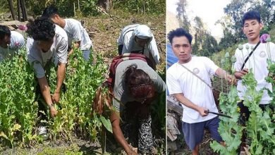 Arunachal: APSU, GBs, PRI leaders of Pongging village destroys Poppy garden as a part of anti drug initiative