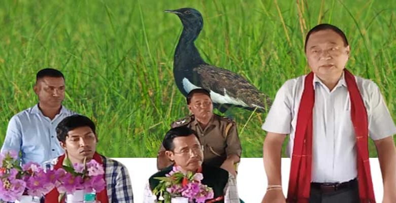 Arunachal: DEWS and adjoining areas possibly has the largest population of Bengal Floricans in India: BNHS