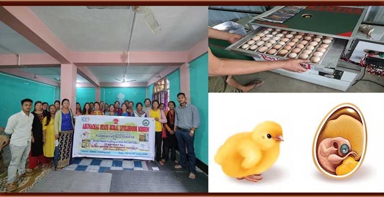 Arunachal: egg incubator & poultry management training held at palin