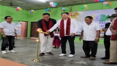 Arunachal: Bijli Mahotsav celebrated at Siang