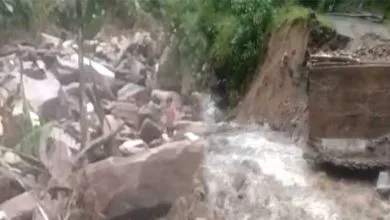 Arunachal: Bailey Bridge At Border With China Washed Away In Flash Flood