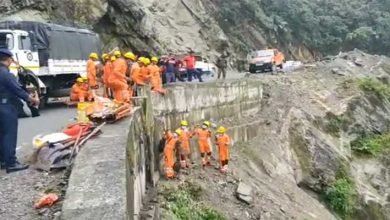 Arunachal: 4 From Assam Die After Car Falls In Deep Gorge near Sessa waterfall