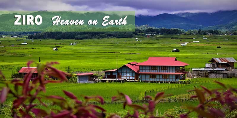 82+ most beautiful images in Ziro, Arunachal Pradesh, India