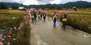 Arunachal: Ziro annual flower maintenance day observed