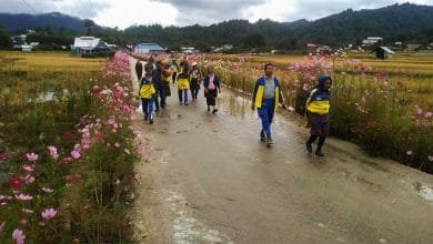 Arunachal: Ziro annual flower maintenance day observed