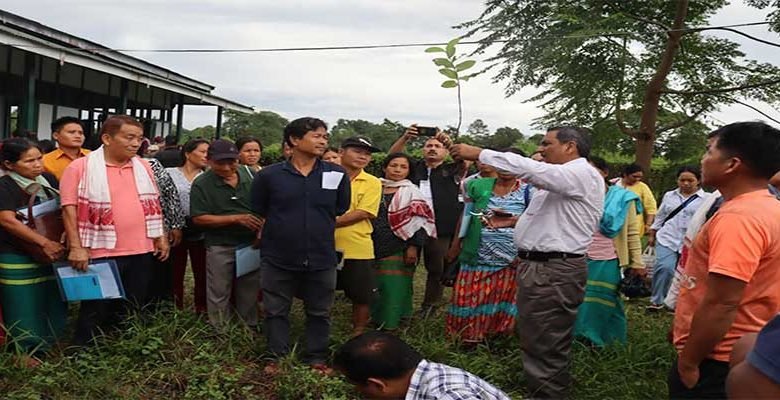 Arunachal: NERIST conducted training on ‘Ornamental Banana’ at Parbuk village