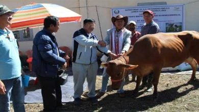 Arunachal: CM's White Revolution Scheme-II launched at Ziro