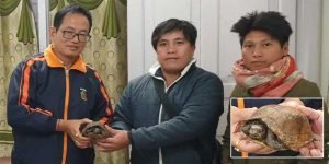 Arunachal: A rescued Keel box turtle handed over to PCCF Wildlife released in D. Ering Wildlife Sanctuary