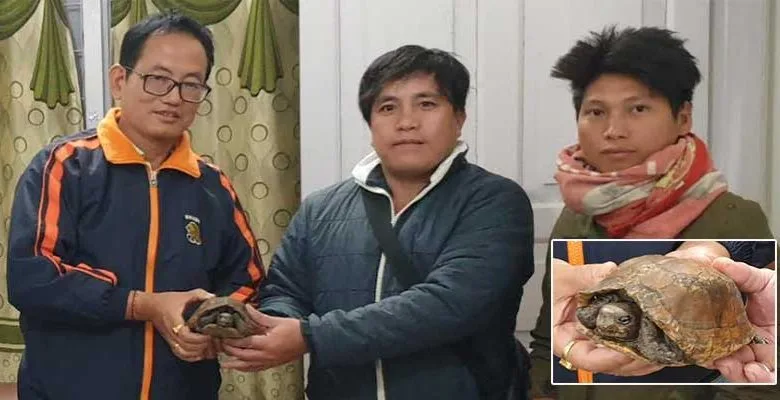 Arunachal: A rescued Keel box turtle handed over to PCCF Wildlife released in D. Ering Wildlife Sanctuary