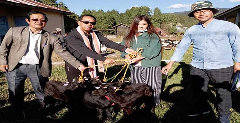 Arunachal: Goats distributed to farmer at Ziro under NLM