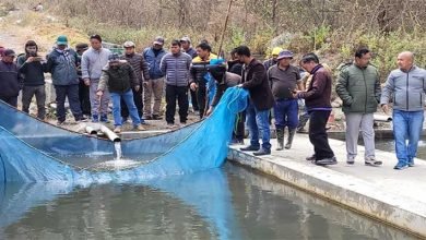 Arunachal: Trainings on trout farming held at Shergaon
