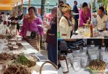 Arunachal: Food items made of Millet showcase to commemorate "International Year of Millet"