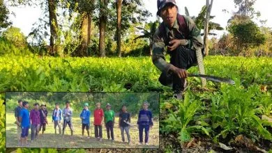 Arunachal: All Anpum Students’ Union damages several areas of Opium cultivation in Anpum village