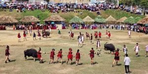 Arunachal: Adis of Siang celebrate Unying Giidi in Boleng