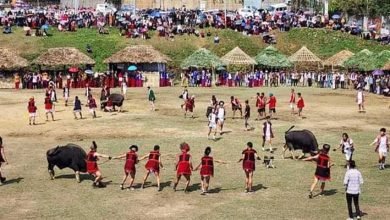 Arunachal: Adis of Siang celebrate Unying Giidi in Boleng