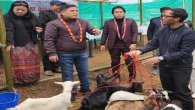 Arunachal: goatery unit distributed in Longding district