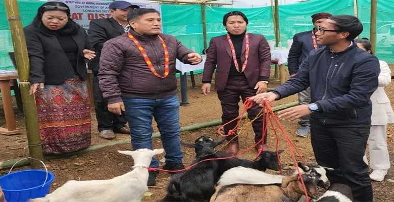 Arunachal: goatery unit distributed in Longding district