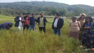 Arunachal: ICAR Basar conducts field demo for farmers on Linseed production