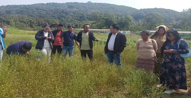Arunachal: ICAR Basar conducts field demo for farmers on Linseed production