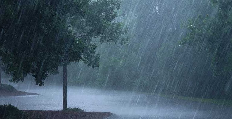 IMD forecast Heavy rainfall to Northeast India over next 48 hrs