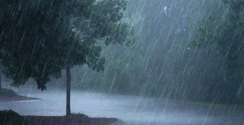 IMD forecast Heavy rainfall to Northeast India over next 48 hrs