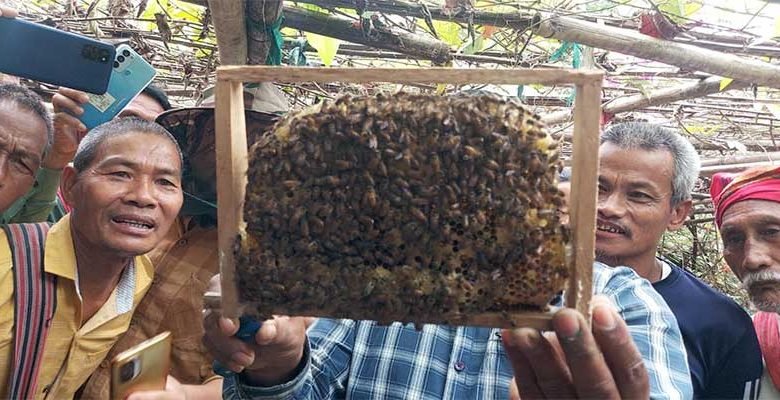 Assam: Training program on beekeeping held at Karbi Anglong