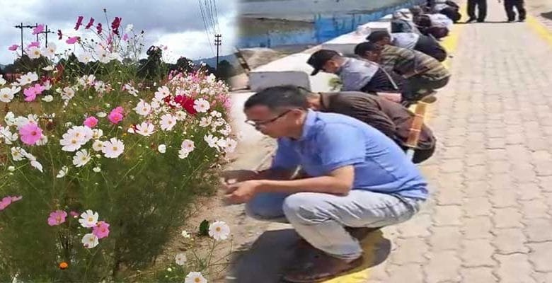 Arunachal: Ziro sets a record in flower plantation drive