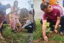 Itanagar: IMC Mayor Participates in Tree Plantation event at Itafort