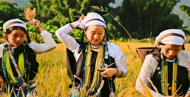 The Dynamics of Democracy vis-à-vis Tribal society of Arunachal Pradesh