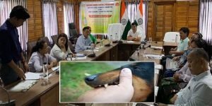 Arunachal: 387 dog bite cases under Doimukh block reported during last one year
