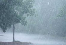Weather Report: heavy rainfall expected over Arunachal, Assam, Meghalaya, Nagaland, Manipur, Mizoram, and Tripura during next five days- IMD