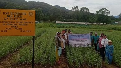 Arunachal,  ICAR,  farmer’s field day, Sesame Seed Production, Basar 