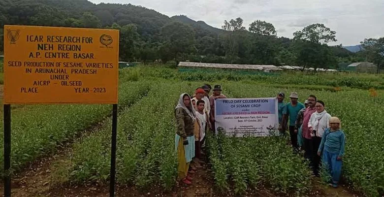 Arunachal,  ICAR,  farmer’s field day, Sesame Seed Production, Basar 