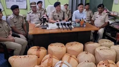 Arunachal: Over 226 kg cannabis seized, two arrested