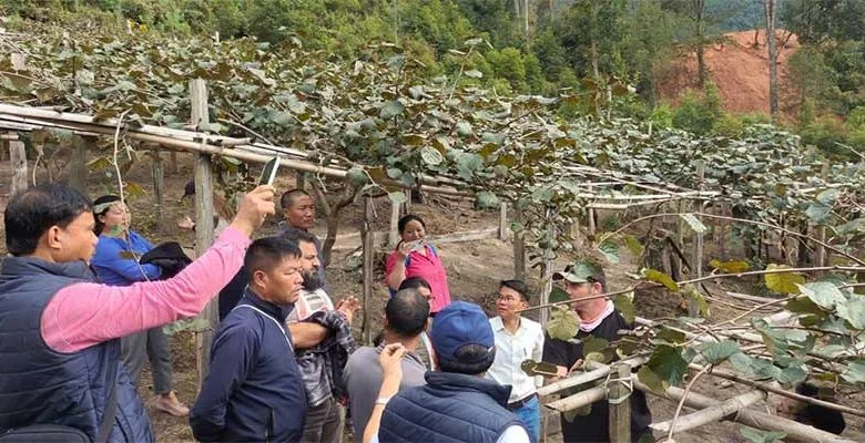 Arunachal: New Zealand kiwi experts tour Ziro valley to explore collaboration for kiwi production