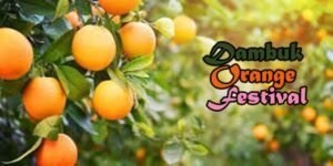 Dambuk Orange Festival of Arunachal Pradesh