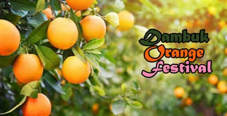 Dambuk Orange Festival of Arunachal Pradesh