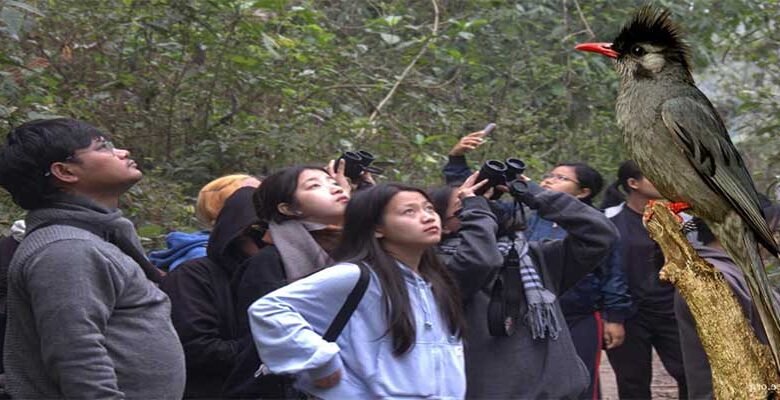 Arunachal: Aalo Bird Walk titled “Feathers and Footsteps” to be held on 2nd and 3rd March 2024
