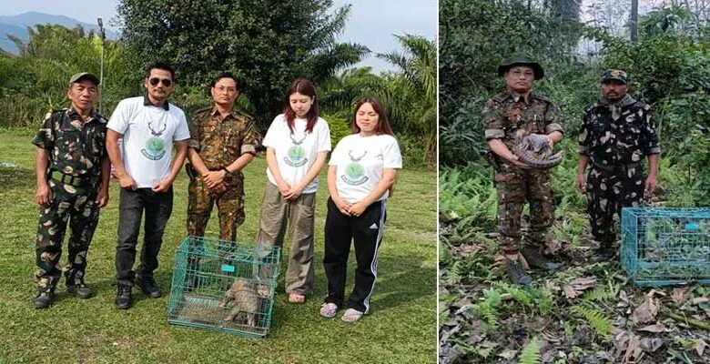 Arunachal: Villagers hands over a rescued Chinese Pangolin to D. Ering WLS