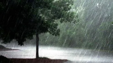 Weather Report: IMD predicts More Rains in Arunachal Pradesh