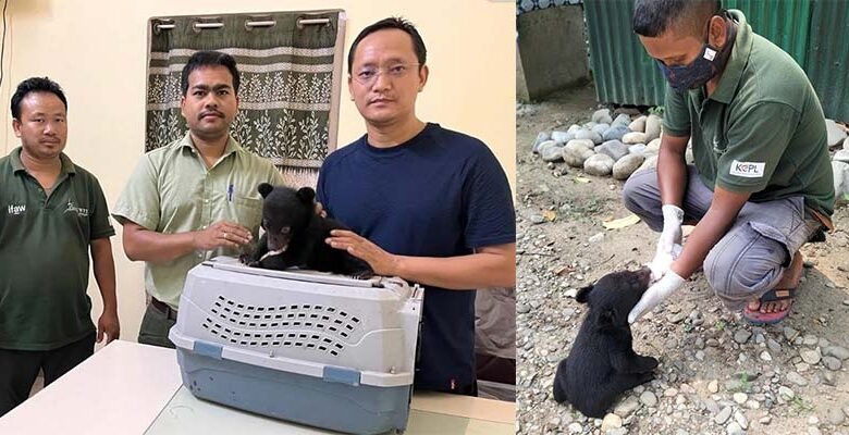 ITANAGAR- A male Asiatic black bear cub was rescued from the Sagalee region of Papum Pare district by the Department of Environment, Forest and Climate Change, Arunachal Pradesh.